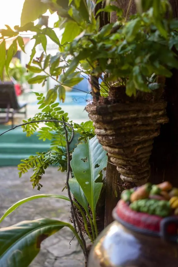 ** Inn Pousada Quiosque Hospedagem La Bilbaina Porto Seguro Brazil